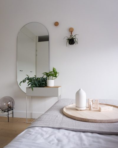a bedroom with a bed, mirror and plant